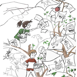 ATELIER BD