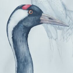 Exposition Bialowieza : vernissage
