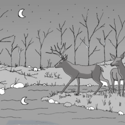 Atelier Dessin et Infographie