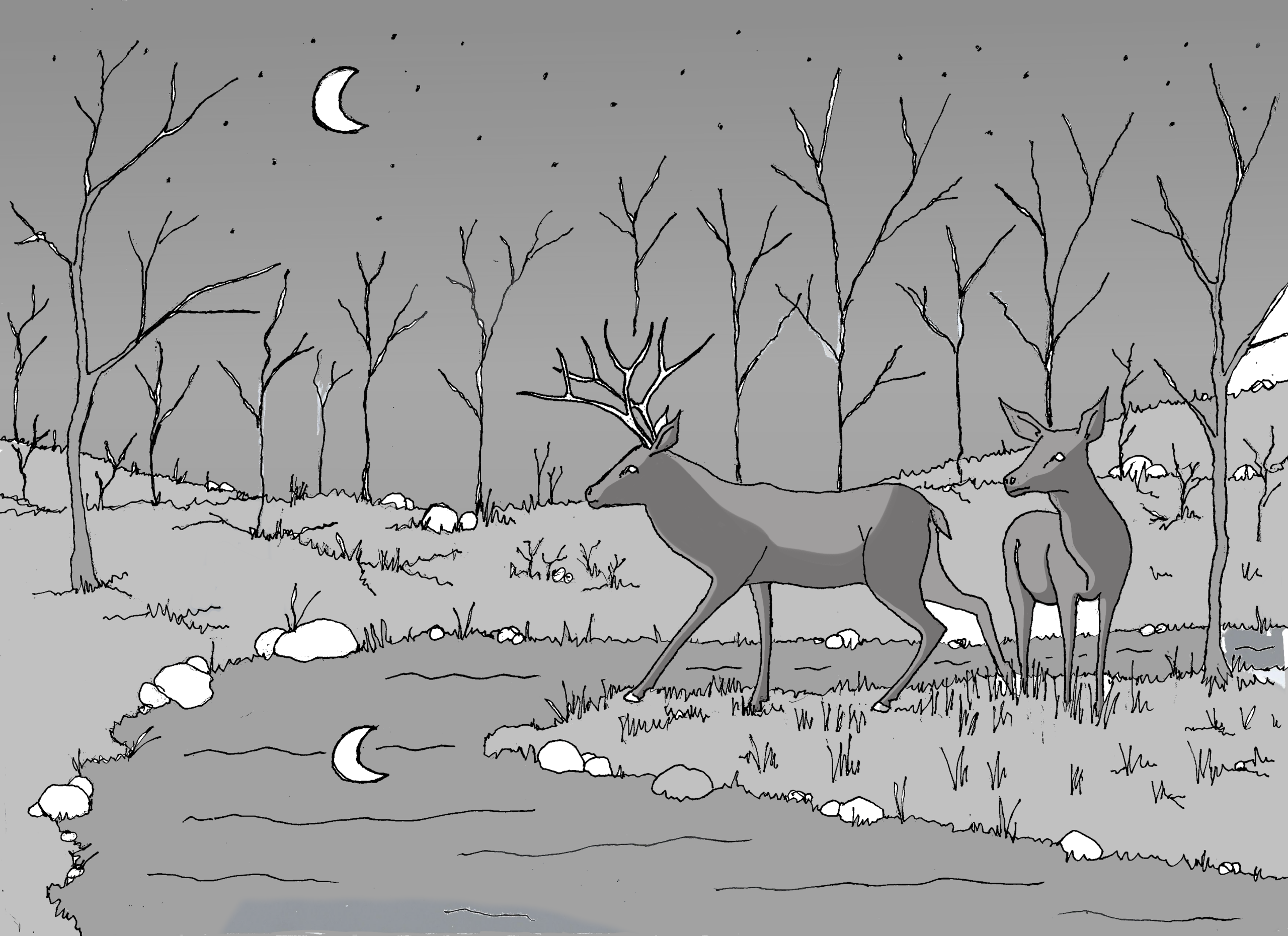 Atelier Dessin et Infographie